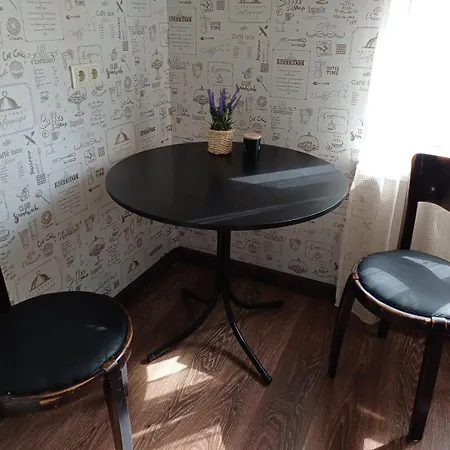 Inzenieru 77 Apartment *